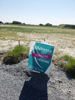 /international/fr/beauvoir-sur-mer-pays-de-la-loire-310104463858/