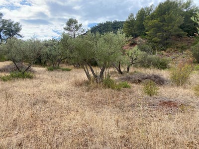 /international/fr/gonfaron-provence-alpes-cote-d-azur-310106199145/