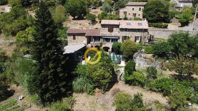 /international/fr/branoux-les-taillades-languedoc-roussillon-310109576771/
