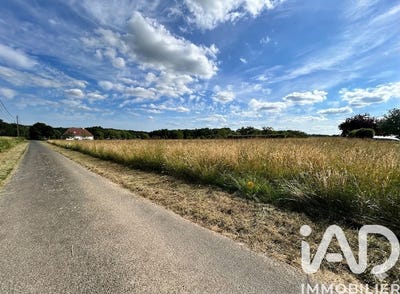 /international/fr/crotelles-centre-val-de-loire-310108555707/