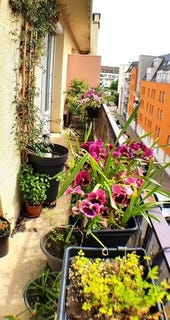 /international/fr/limoges-limousin-310107678909/