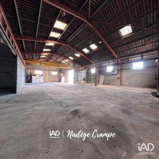/international/fr/ibos-midi-pyrenees-310105056850/