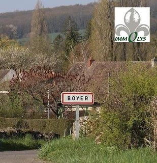 /international/fr/boyer-burgundy-310108564853/