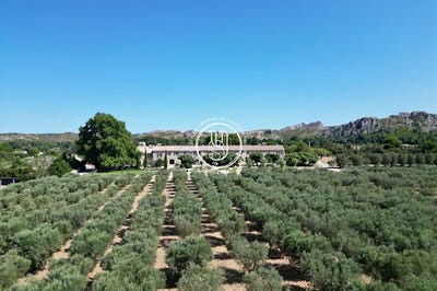 /international/fr/maussane-les-alpilles-provence-alpes-cote-d-azur-310101443774/?lang=id