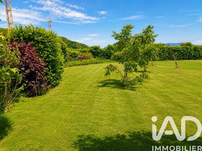 /international/fr/colombe-ile-de-france-310108591387/