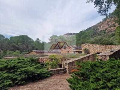 /international/fr/solenzara-corsica-120094867145/?lang=it