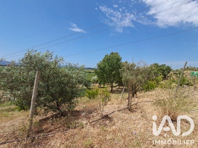 /international/fr/azille-languedoc-roussillon-310108989701/