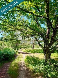 /international/fr/gujan-mestras-aquitaine-310103246535/