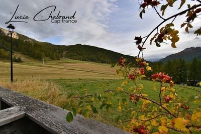 /international/fr/arvieux-provence-alpes-cote-d-azur-120096084846/