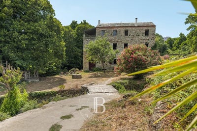 /international/fr/saint-florent-corsica-310101176395/?lang=zh-cn