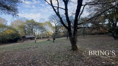 /international/fr/chateaubriant-pays-de-la-loire-310108564866/