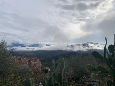 /international/fr/moltifao-corsica-310104045572/