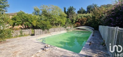 /international/fr/merles-midi-pyrenees-310096766256/?lang=pt
