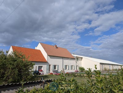 /international/fr/sandillon-centre-val-de-loire-310106606164/