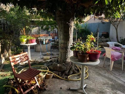 /international/fr/arles-languedoc-roussillon-310109019797/