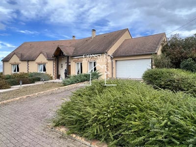/international/fr/saint-julien-du-sault-burgundy-310105351619/