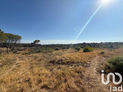 /international/fr/vauvert-languedoc-roussillon-310101080378/