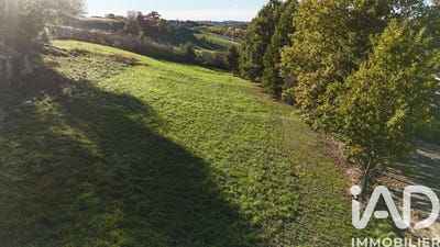 /international/fr/moissac-midi-pyrenees-310103607945/
