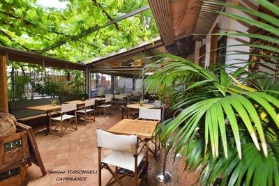 /international/fr/cuers-provence-alpes-cote-d-azur-120092698717/