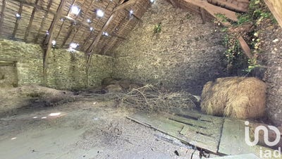 /international/fr/chamboulive-limousin-310100179019/