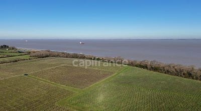 /international/fr/st-yzans-de-medoc-aquitaine-310100298947/