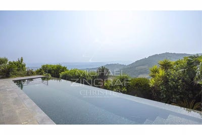 /international/fr/tanneron-provence-alpes-cote-d-azur-310100376556/