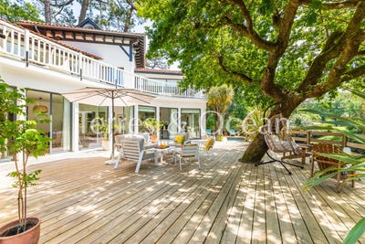/international/fr/soorts-hossegor-aquitaine-310108454795/