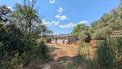 /international/fr/montfort-sur-argens-provence-alpes-cote-d-azur-310098838255/