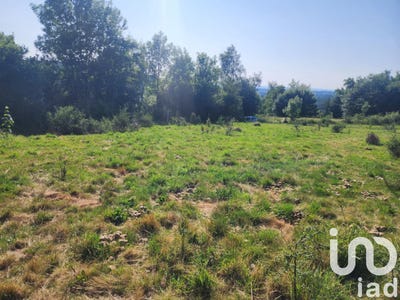 /international/fr/saint-pal-de-mons-auvergne-310100295690/?lang=zh-cn