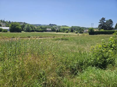/international/fr/tence-auvergne-310108994482/?lang=it