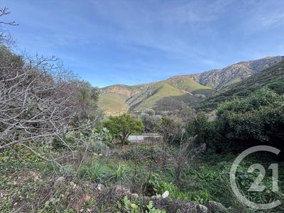 /international/fr/occhiatana-corsica-310110158264/