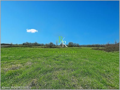/international/fr/sauvagnon-aquitaine-310107025143/