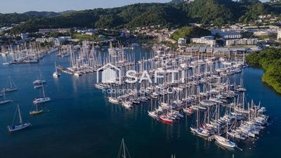 /international/fr/le-marin-rhone-310107447335/