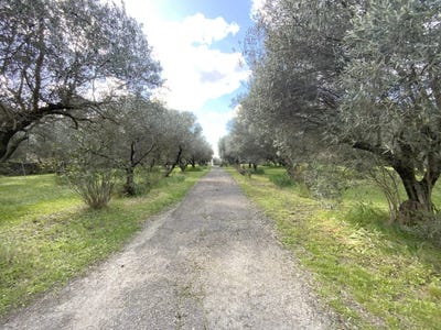 /international/fr/uzes-aquitaine-310108436044/