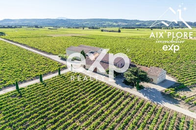 /international/fr/sainte-cecile-les-vignes-provence-alpes-cote-d-azur-310107070548/