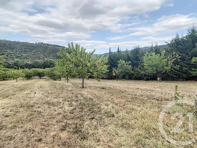 /international/fr/reynes-languedoc-roussillon-310101036748/?lang=zh-cn