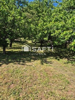 /international/fr/steinbach-alsace-310104800609/