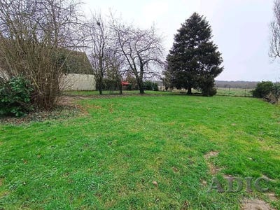 /international/fr/othis-ile-de-france-310100386771/