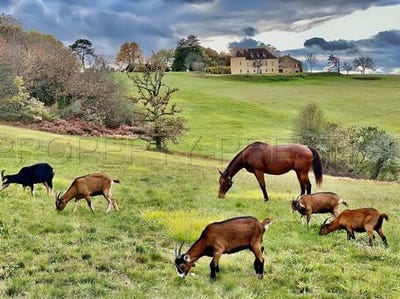 /international/fr/campagne-aquitaine-310104842372/