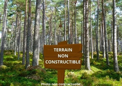 /international/fr/reignac-aquitaine-310106288705/