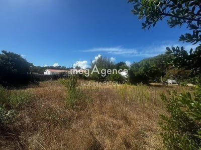 /international/fr/dolus-d-oleron-charente-310107526227/