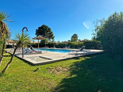 /international/fr/lecci-corsica-310107968155/