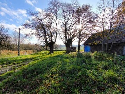 /international/fr/saint-dolay-brittany-310104810707/