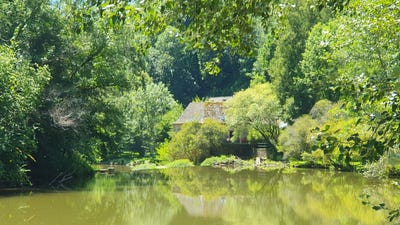 /international/fr/rignac-midi-pyrenees-310107558769/