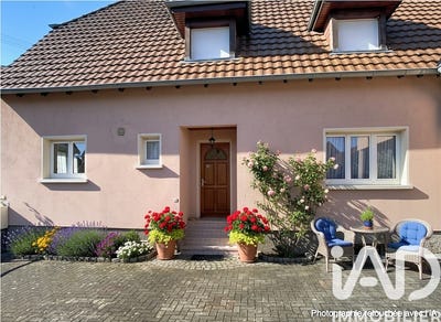 /international/fr/rhinau-alsace-310107360408/