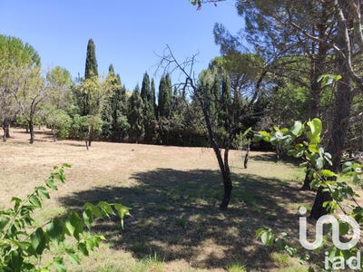 /international/fr/montpellier-languedoc-roussillon-310100956383/