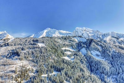 /international/fr/manigod-rhone-310100762067/