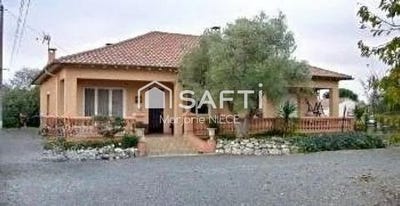 /international/fr/muret-midi-pyrenees-310102783950/