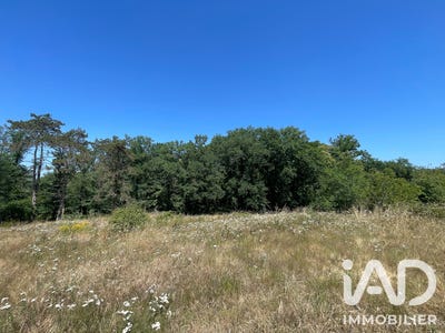 /international/fr/ussac-limousin-310108948578/