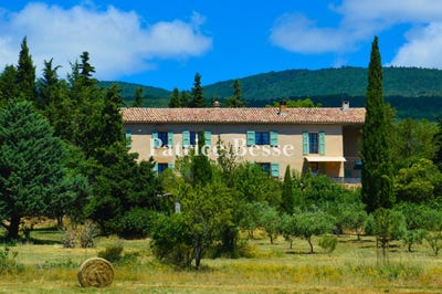 /international/fr/forcalquier-provence-alpes-cote-d-azur-310108866001/
